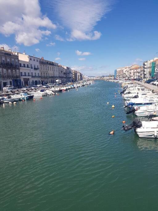 Sète Nautilus Joli T3 Appartement Terrasse Climatisation מראה חיצוני תמונה